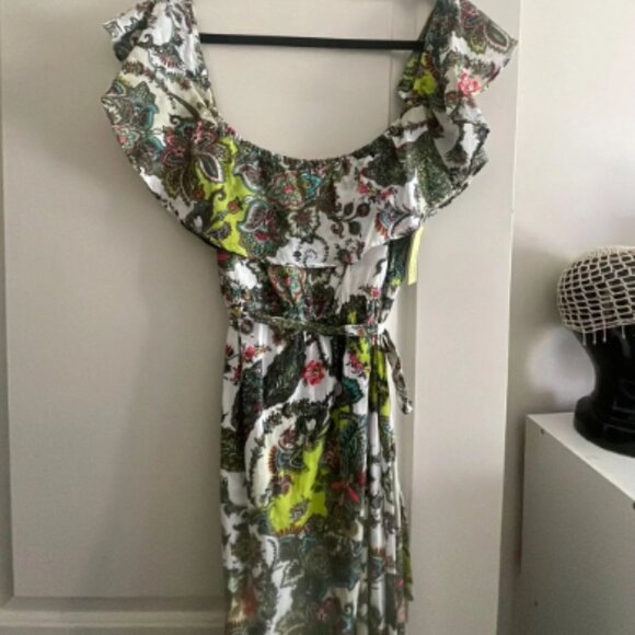 100% Cotton Peridot Paisley Dress - Picture 5 of 5